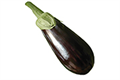 Semences aubergine – Topsem Algérie