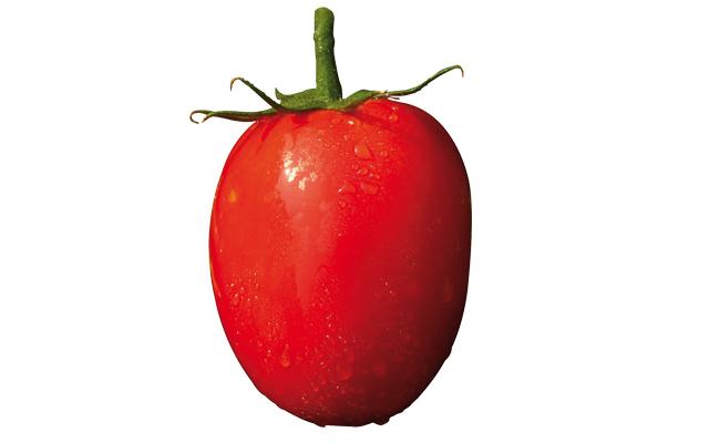 Tomate ISMA F1