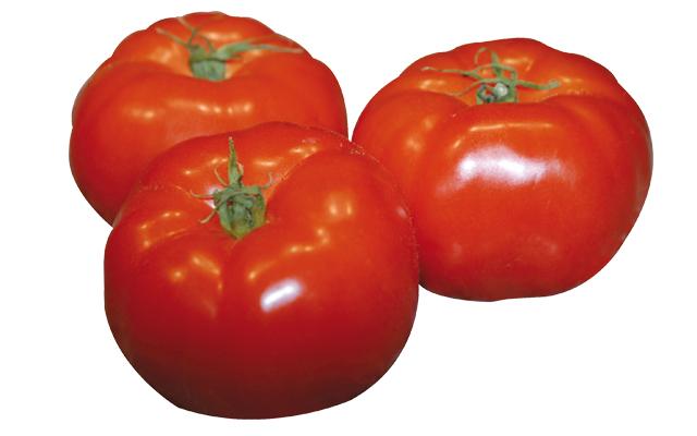 Tomate KHALYDA F1
